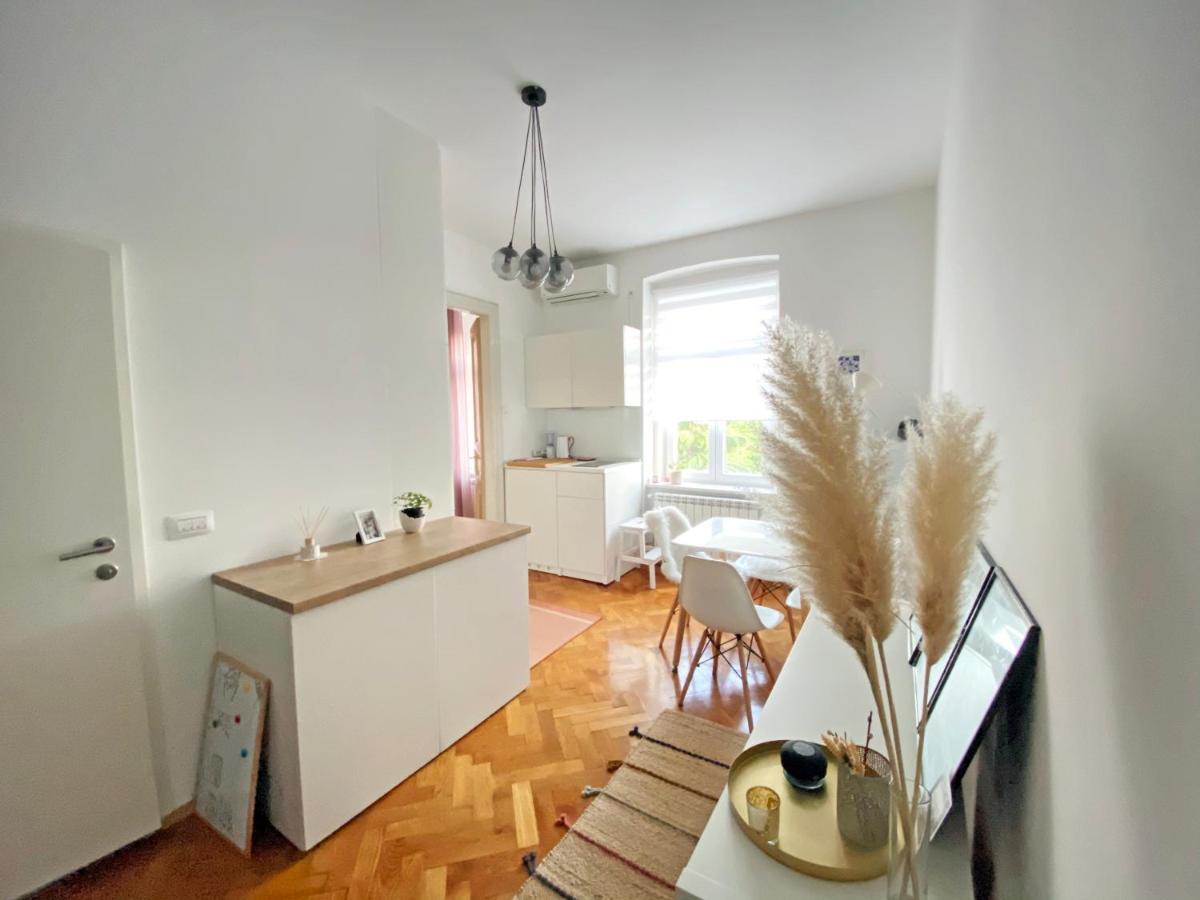 Bright Apartment 45M2 - Free Parking - Wifi Rijeka Bagian luar foto